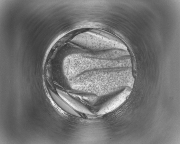 X0000051861152200507221850