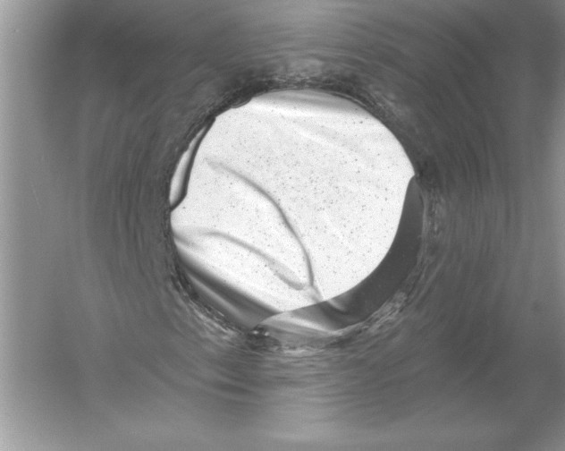 X0000051861153200507221849