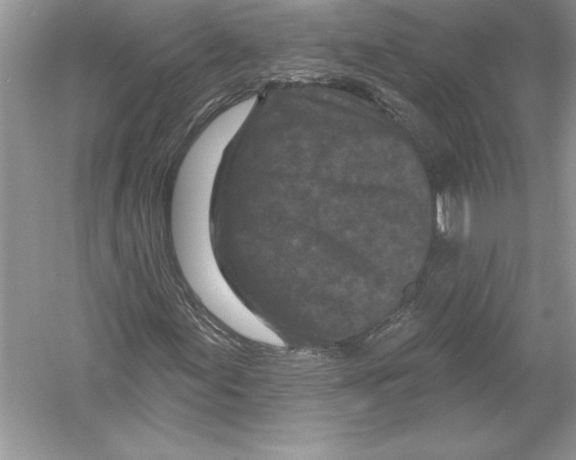 X0000051861155200507221849