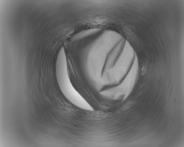 X0000051861156200507221849