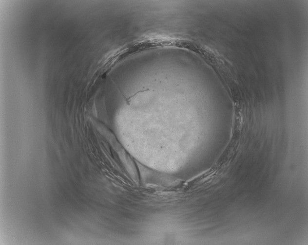 X0000051861157200507221849