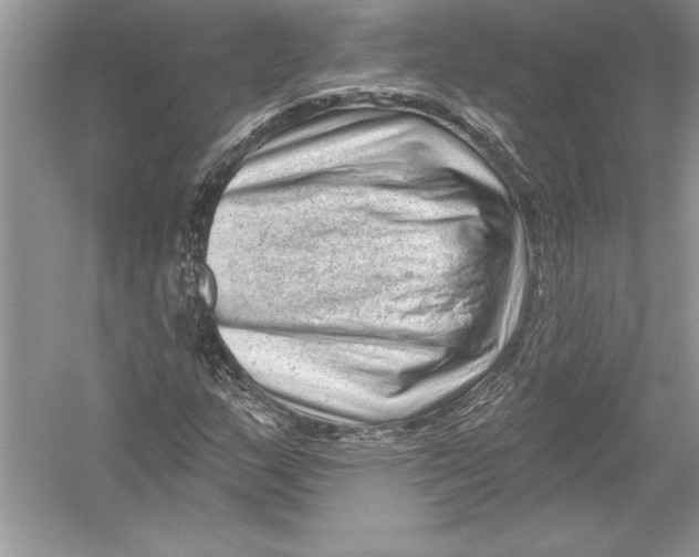 X0000051861159200507221849