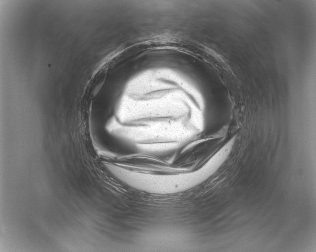 X0000051861160200507221849