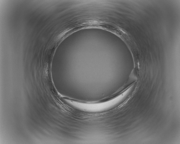 X0000051861161200507221849