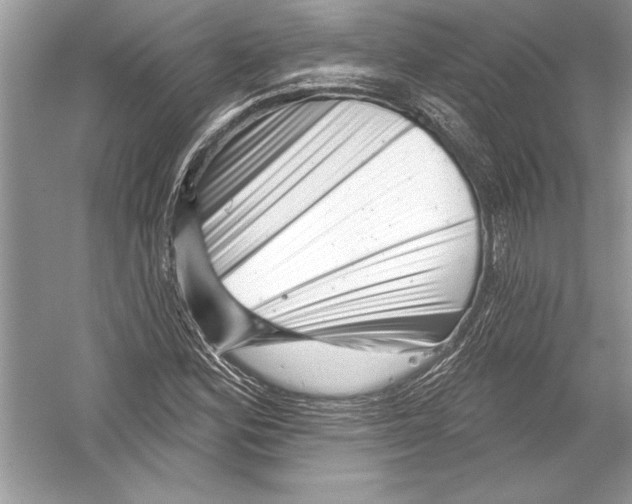 X0000051861164200507221849