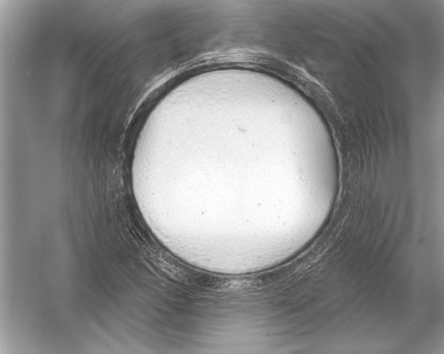 X0000051861166200507221849