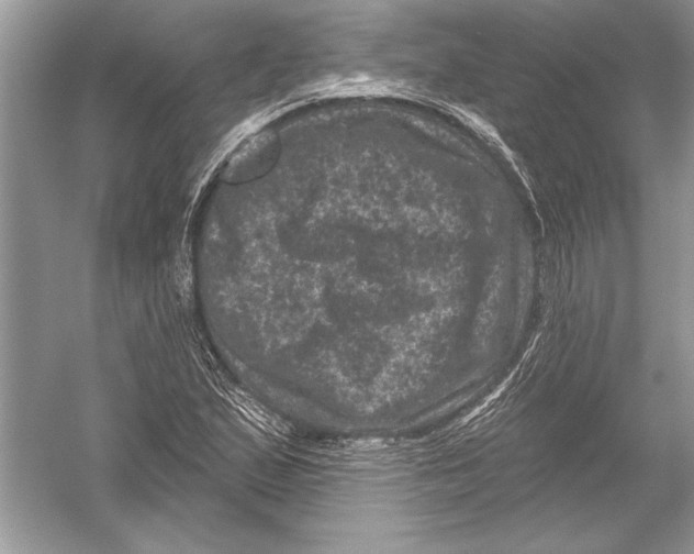 X0000051861167200507221849