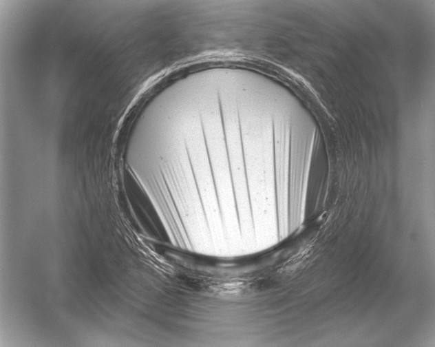 X0000051861168200507221849