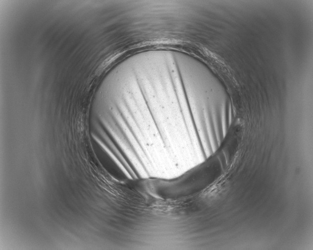 X0000051861169200507221849