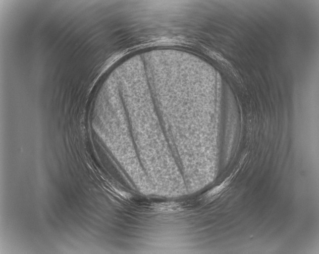 X0000051861170200507221849