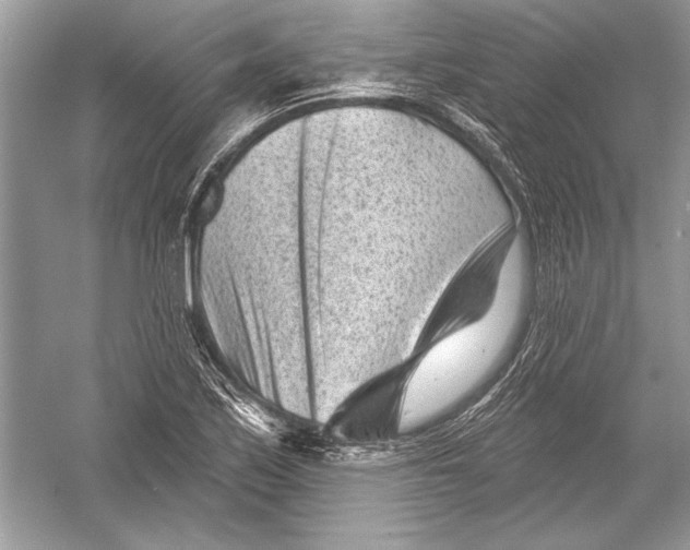 X0000051861171200507221849