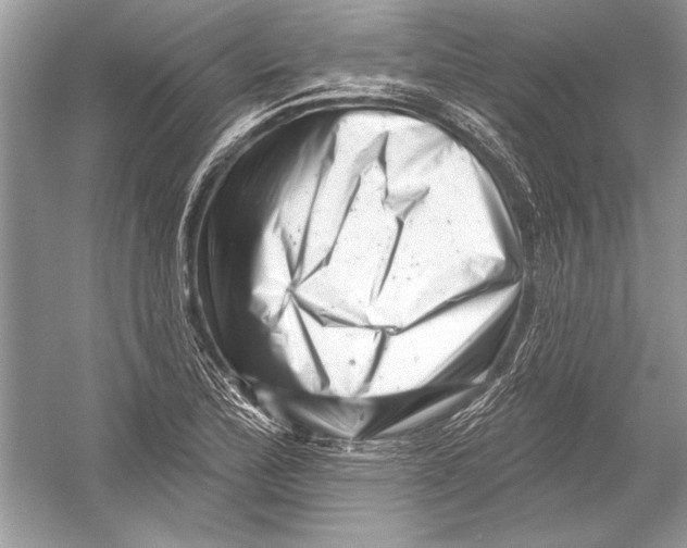 X0000051861172200507221849