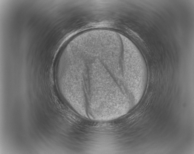 X0000051861174200507221849