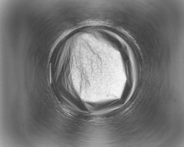 X0000051861175200507221849