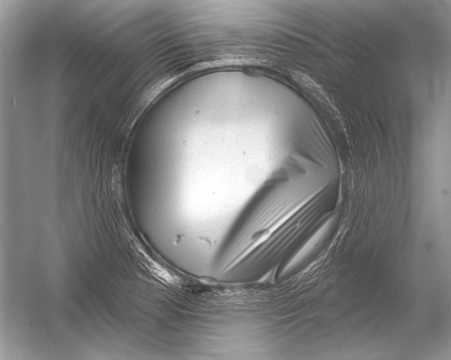 X0000051861177200507221849