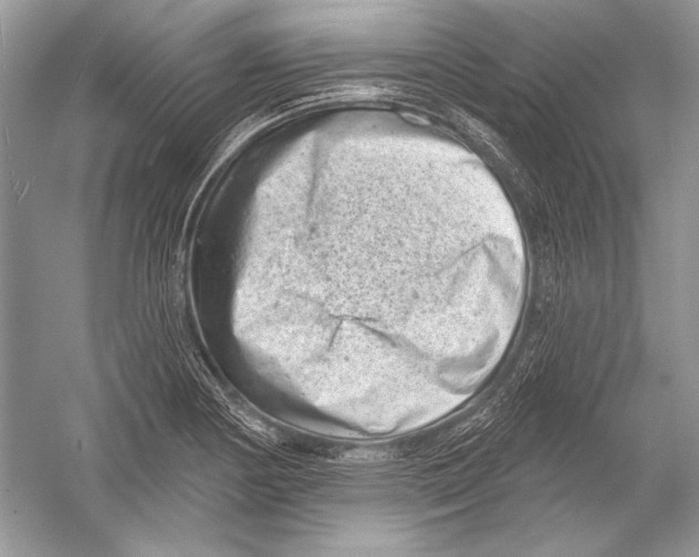 X0000051861178200507221849