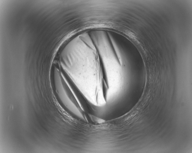 X0000051861181200507221849