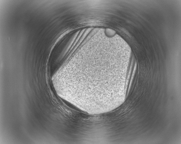 X0000051861182200507221849