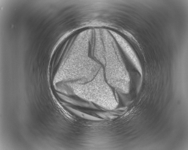 X0000051861183200507221849