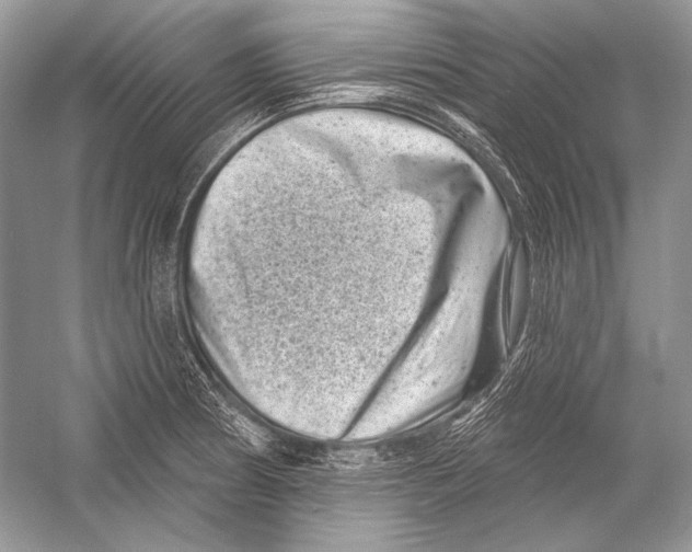 X0000051861186200507221849