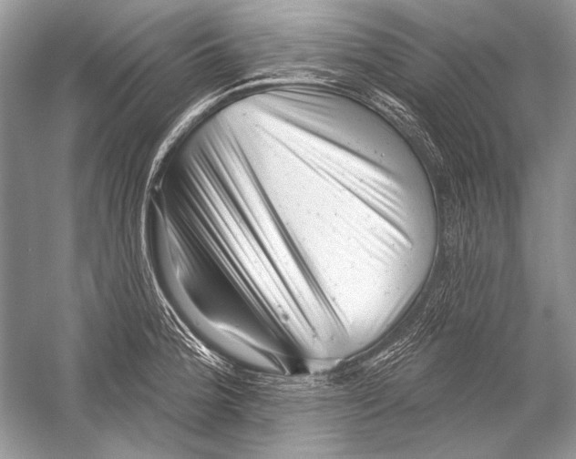 X0000051861188200507221849