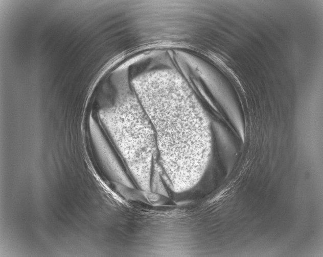 X0000051861189200507221849