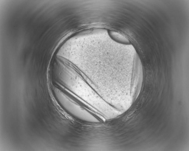 X0000051861190200507221849