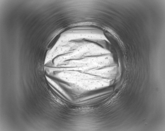 X0000051861193200507221849