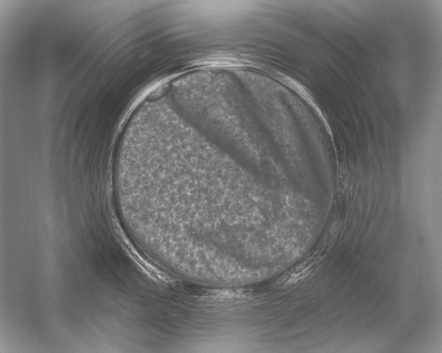 X0000051861195200507221849