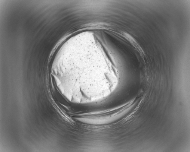 X0000051861196200507221849