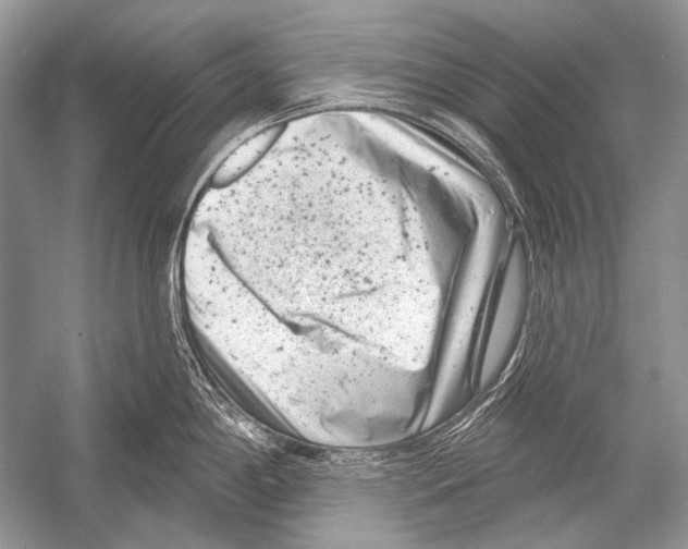 X0000051861198200507221849