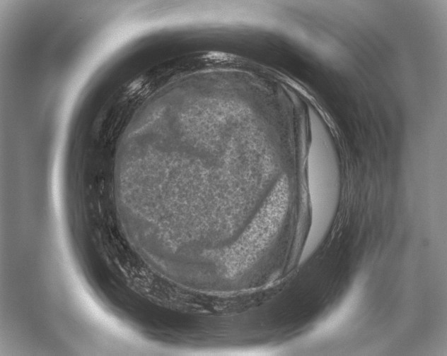 X0000051861199200507221849