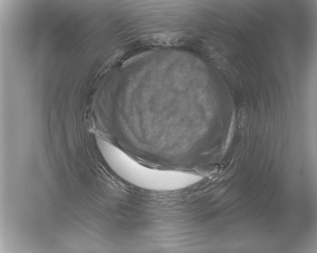 X0000051861202200507221848