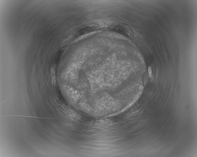 X0000051861203200507221848