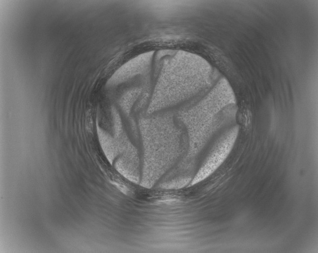 X0000051861204200507221848