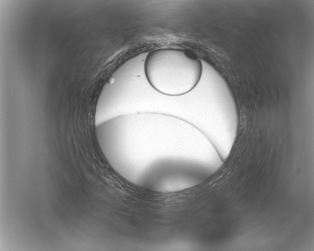 X0000051861205200507221848