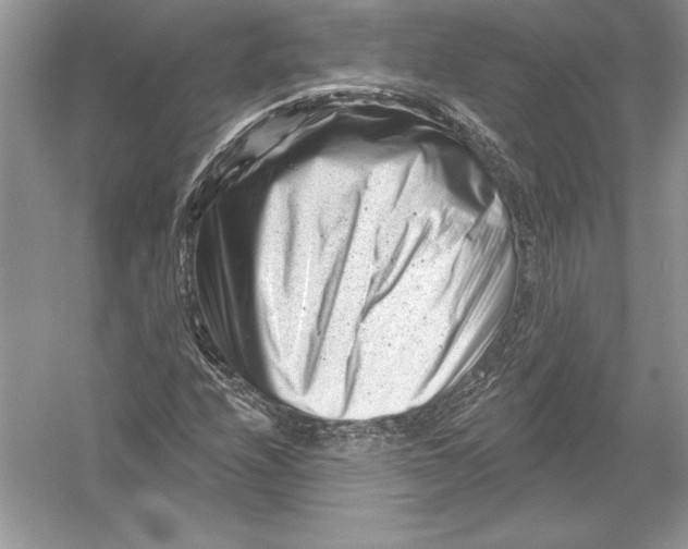 X0000051861208200507221848