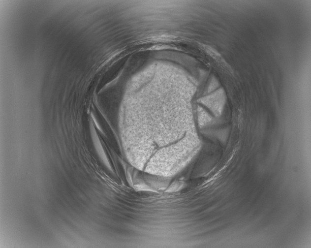 X0000051861209200507221848