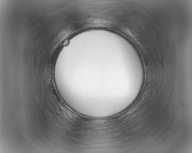 X0000051861211200507221848