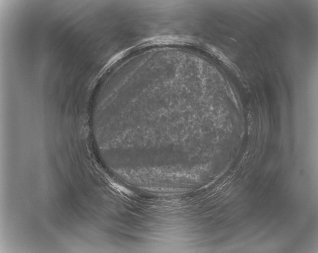 X0000051861213200507221848