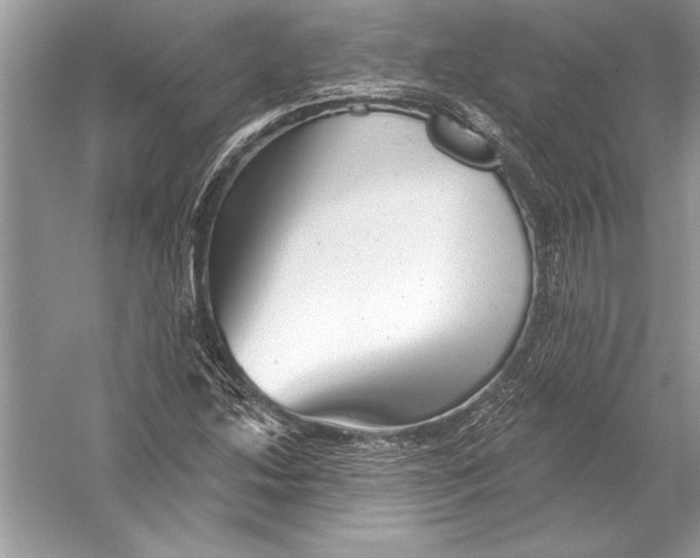 X0000051861214200507221848