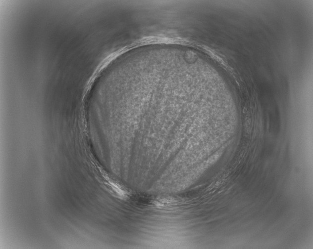 X0000051861215200507221848