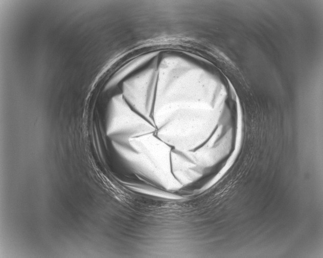 X0000051861216200507221848