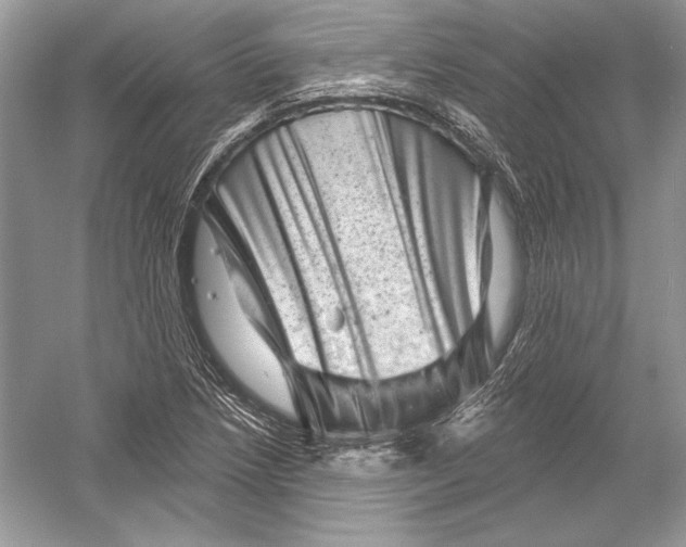 X0000051861218200507221848