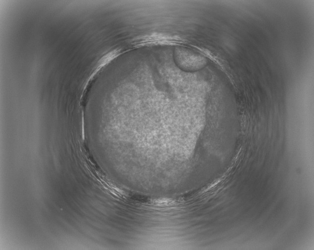 X0000051861219200507221848