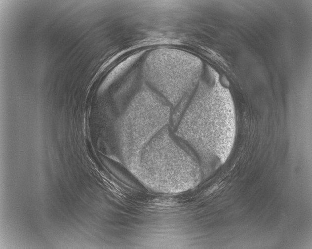 X0000051861220200507221848