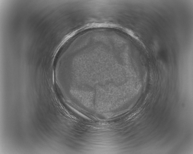 X0000051861221200507221848