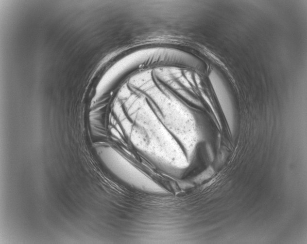 X0000051861222200507221848