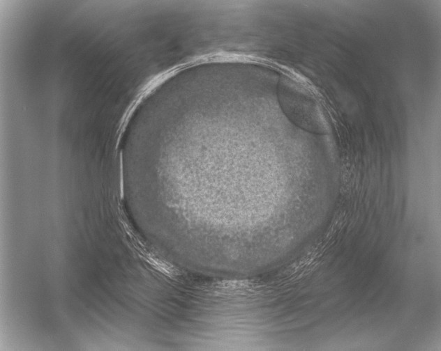 X0000051861223200507221848