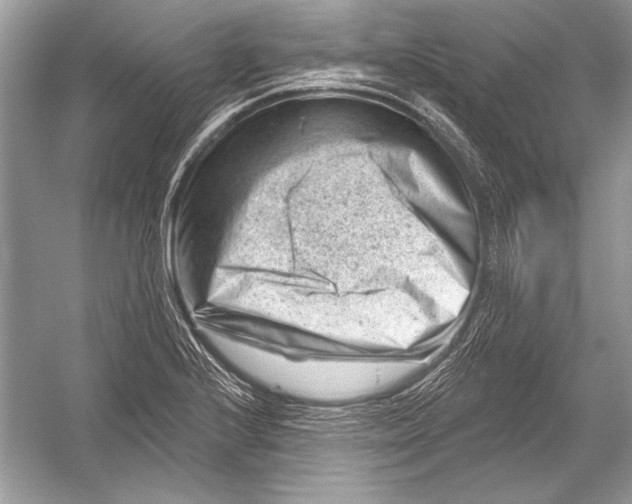 X0000051861224200507221848